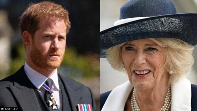 Prince Harry claims 'villain' Camilla leaked royal info to press to rehabilitate her image