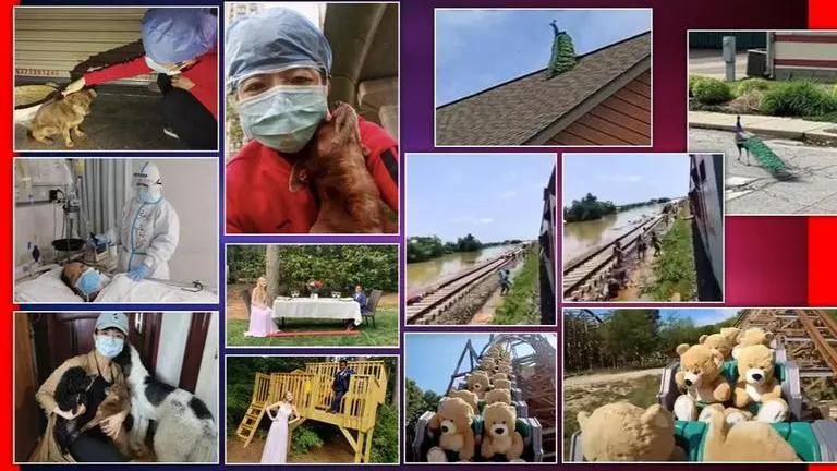 Good News today: Residents give food to flood victims, Kid organises prom for babysitter Here are good News to spill some sunshine in your life amid COVID-19