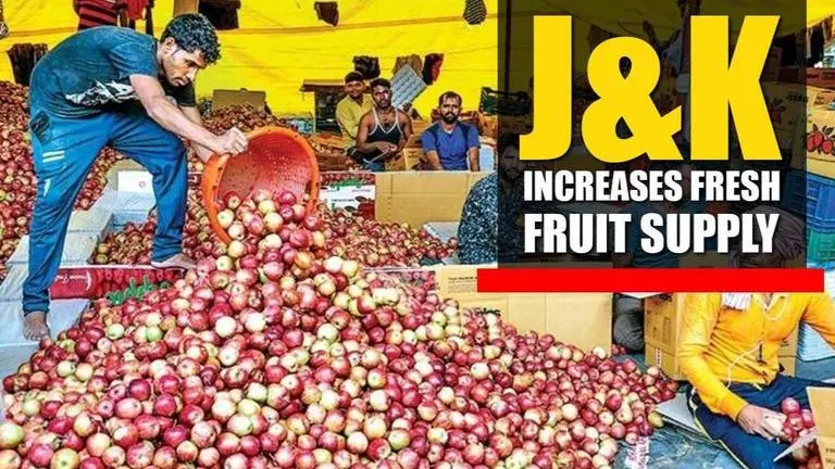 J&K: 6 lakh metric tonnes of fresh fruit transported out of the state Jammu and Kashmir