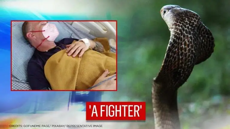 Netizens pour in support for British man who survived cobra bite after COVID, Malaria Cobra Bite In Rajasthan