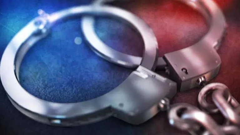 Pakistan national married to Indian man booked for visa violation; released on bail Pakistan