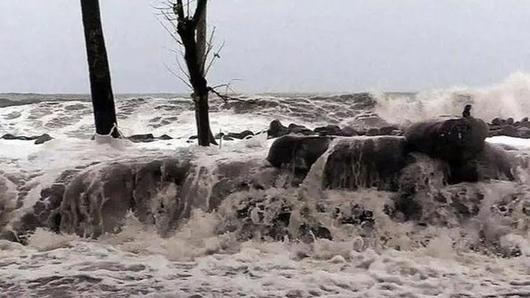 IMD: Cyclone Maha to make landfall on the Gujarat coast today IMD