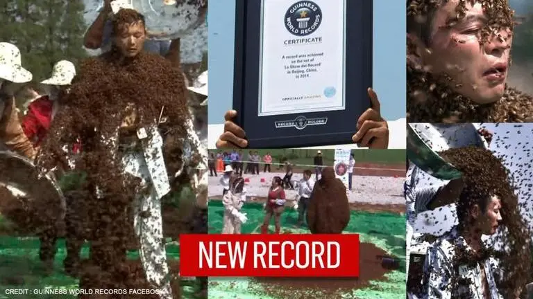 'Must keep calm!' Man bags world record for covering entire body with over 6 lakh bees Man