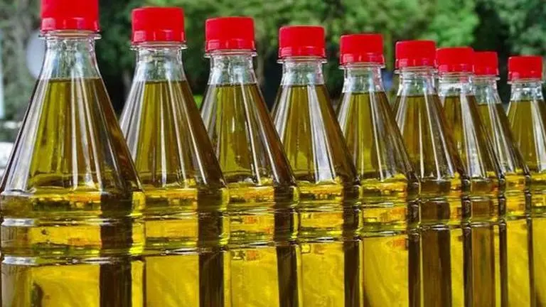 Italy: Drought threatens olive oil, risotto rice and passata supplies; prices to soar Italy