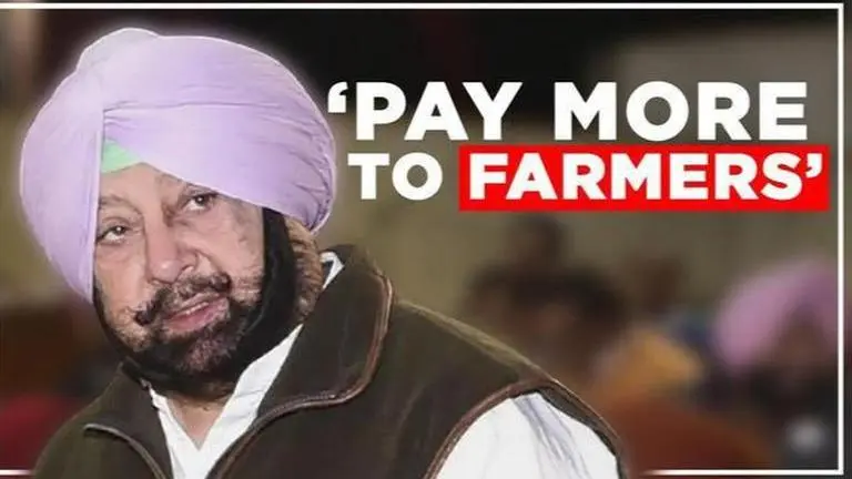 Punjab CM: 'Centre should pay farmers more to stop stubble burning' Amarinder Singh