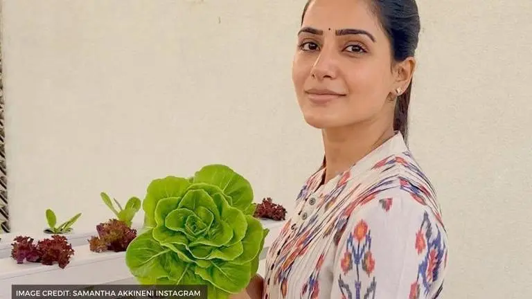 Samantha Akkineni experiments with a plant based diet; See her food pictures samantha akkineni