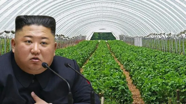 North Korea's Kim Jong-un unveils greenhouse farm project aimed to modernise agriculture North Korea