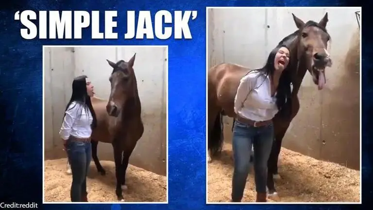 Horse imitates woman who sticks her tongue out in 'cute video'; Watch Horse