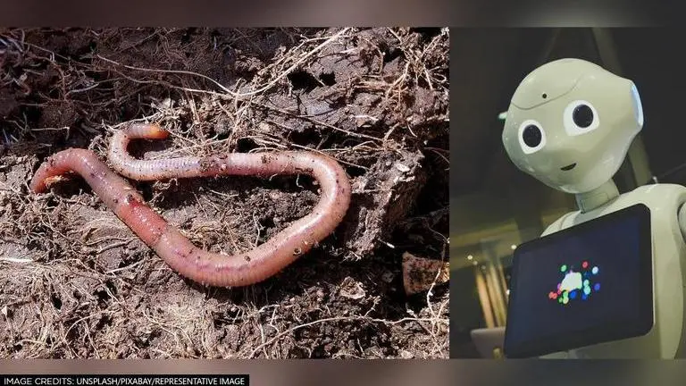 Robot worms