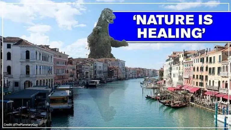 'Burj from Delhi' & 'Mars from basement': Nature's Covid reclamation amplified online COVID-19