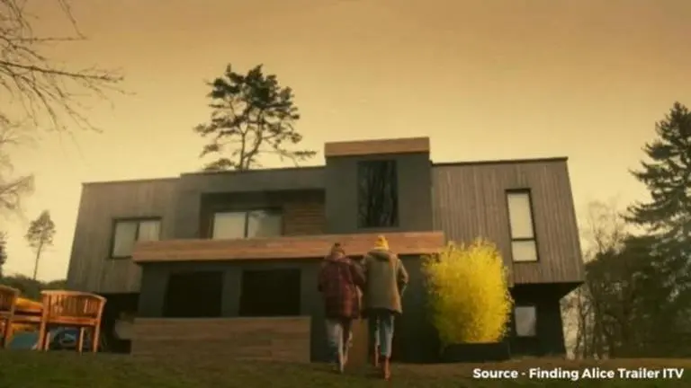 'Finding Alice' Ending Explained - Was Harry's death an accident or a murder? finding alice ending