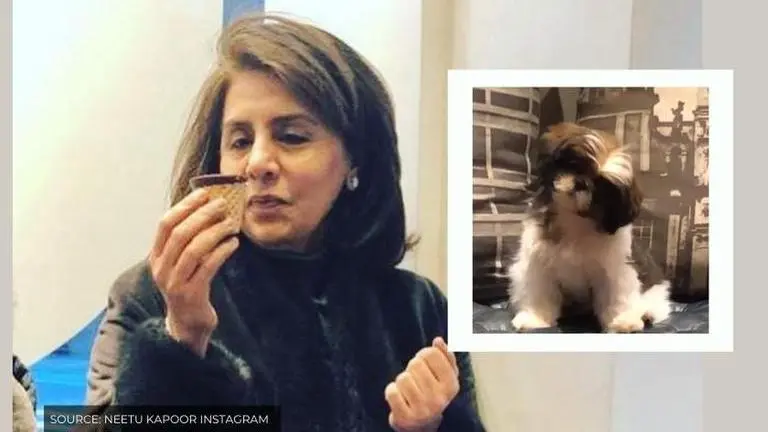Neetu Kapoor shares funny video of her dog on World Dog’s Day, says ‘we never stop' Neetu Kapoor