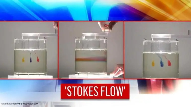 Coloured droplets blended together get back to original form due to 'Stokes Flow' | WATCH Coloured droplets