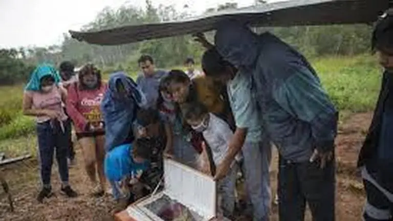 Peru's Indigenous turn to ancestral remedies to fight virus