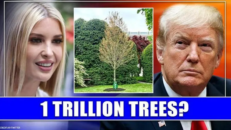 27 million daily for 100 years?: Ivanka schooled for saying US will plant 1 TRILLION trees Ivanka Trump
