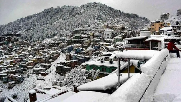 Fresh snowfall in Himachal; cold wave intensifies