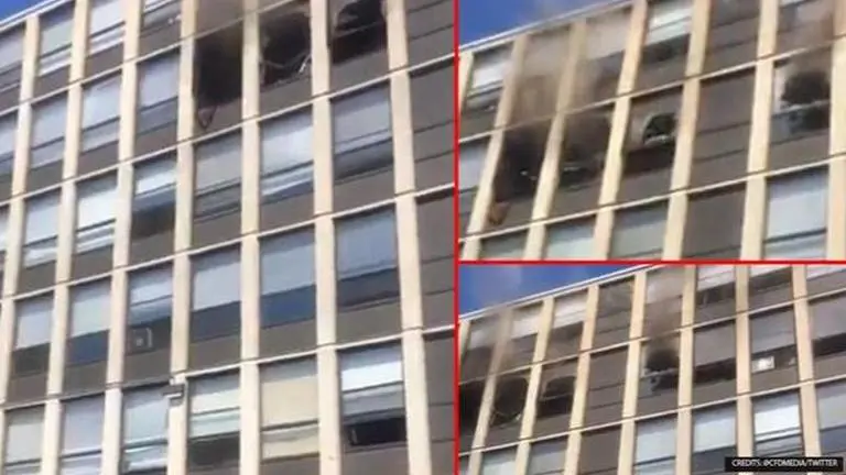 Cat jumps from 5th floor window to escape fire, walks off unhurt, video stuns netizens Cat