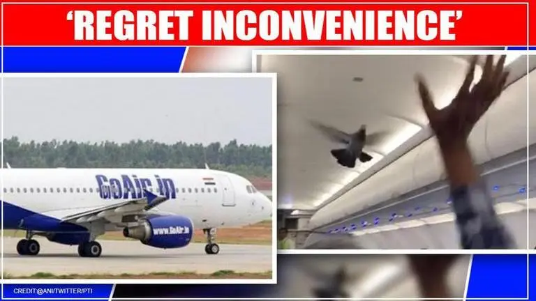 GoAir issues statement after pigeons in cabin delay flight by 30 mins; Read here GoAir