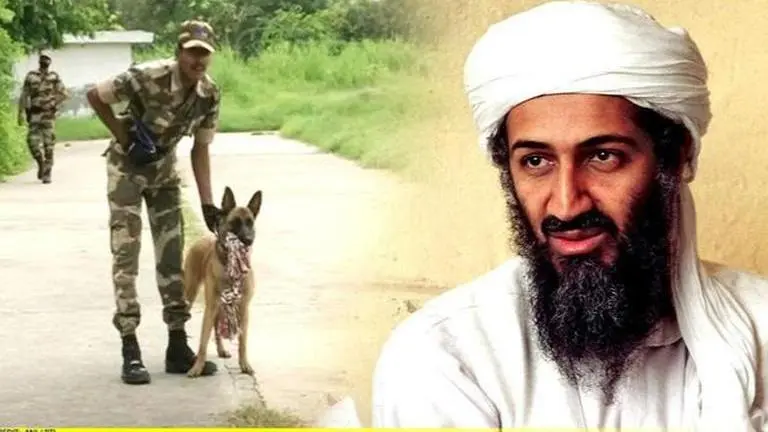 Polo to be deployed at Delhi Metro; belongs to same breed of dog which captured Bin Laden Polo
