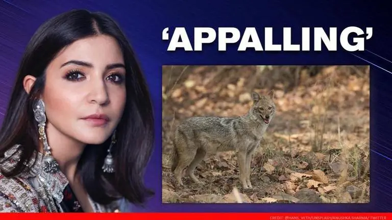Anushka Sharma vents anger over a Jackal killed by explosives in TN, calls it "appalling"