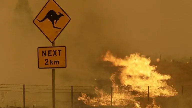 Australia wildfires probe proposes climate risk forecasts Australia wildfires probe proposes climate risk forecasts