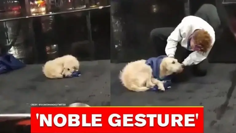 Good News: Man gives his sweater to a helpless dog, video wins netizens’ hearts Good News