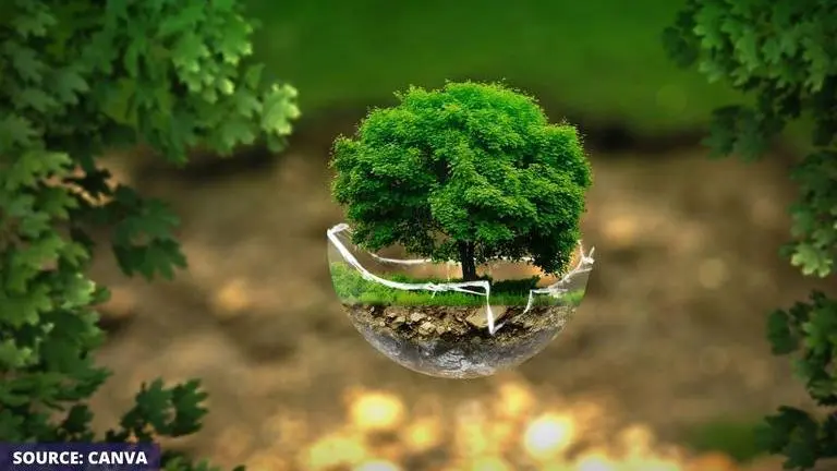 World Environment Day: Meaning, Significance, and Celebration on this prominent days World environment day 2020