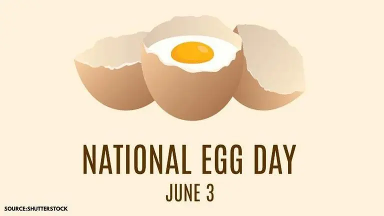 National Egg Day Significance, History and Celebration: All you need to know National egg day significance