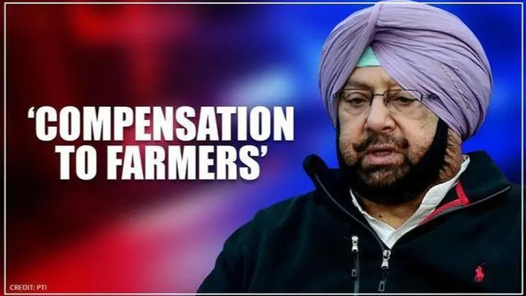 Govt will compensate farmers for setting up power towers, says Punjab CM Amarinder Singh Punjab