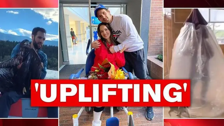 Good News: From man saving baby eagle to monkey wearing face mask, read cheerful stories Good News