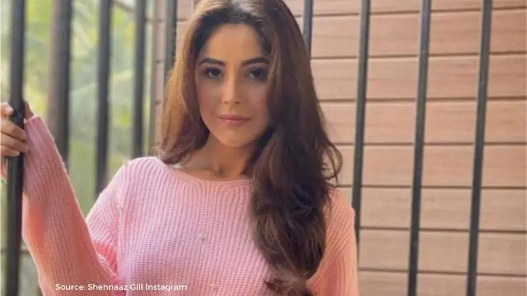 Shehnaaz Gill promises a 'surprise' for her fans; Here is what she said shehnaaz gill