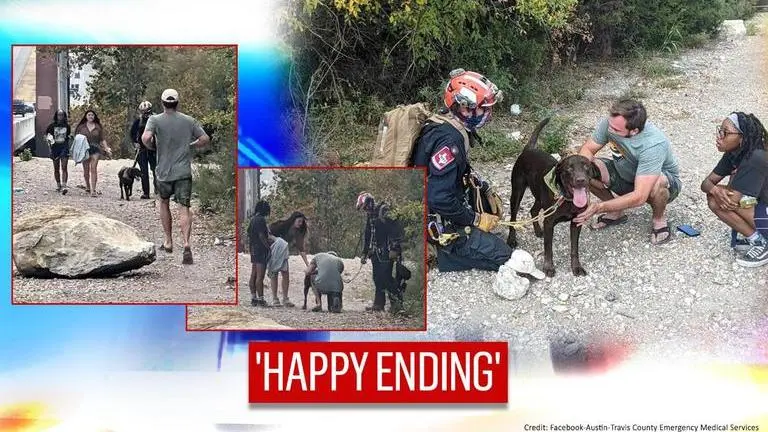 Dog survives after falling from 70 feet high cliff in Texas, netizens hail 'hero' rescuers Dog survives after falling from 70 foot high cliff in Texas, rescued
