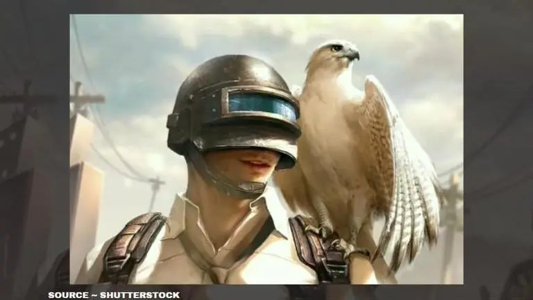 How to get companion in PUBG Mobile? Learn how to get Falcon for free how to get companion in pubg mobile