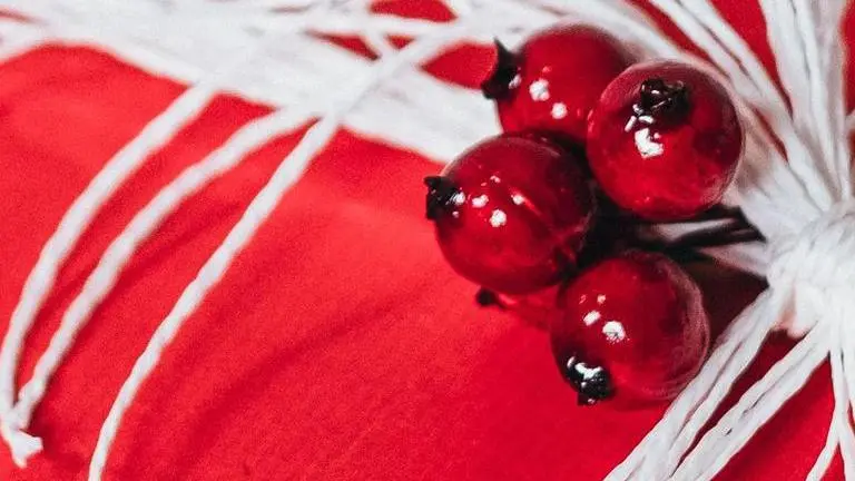 Wheel of Fortune Secret Santa: How to get Spin ID? Find out wheel of fortune