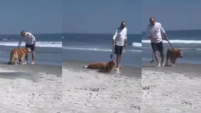Video of dog reluctant to leave the beach leaves netizens in splits; WATCH dog