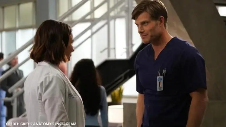 Grey's Anatomy fans will see Derek 'McDreamy' Shepherd return in season 17? grey's anatomy