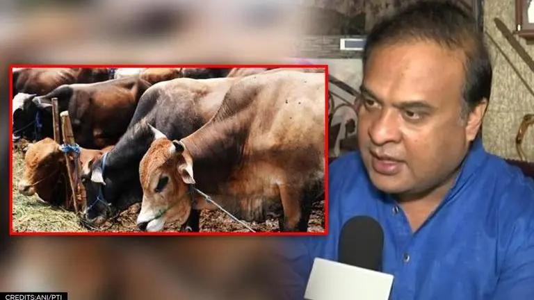 Assam joins other BJP-ruled states; will table a cow protection bill in Assembly soon Cow protection bill, Assam