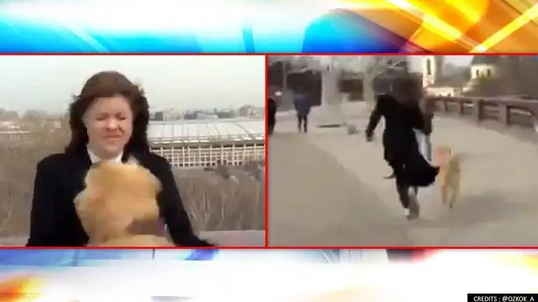 Russia: Dog snatches reporter's microphone during a live broadcast, video goes viral Russia: Dog snatches reporter's microphone during live coverage; video goes viral