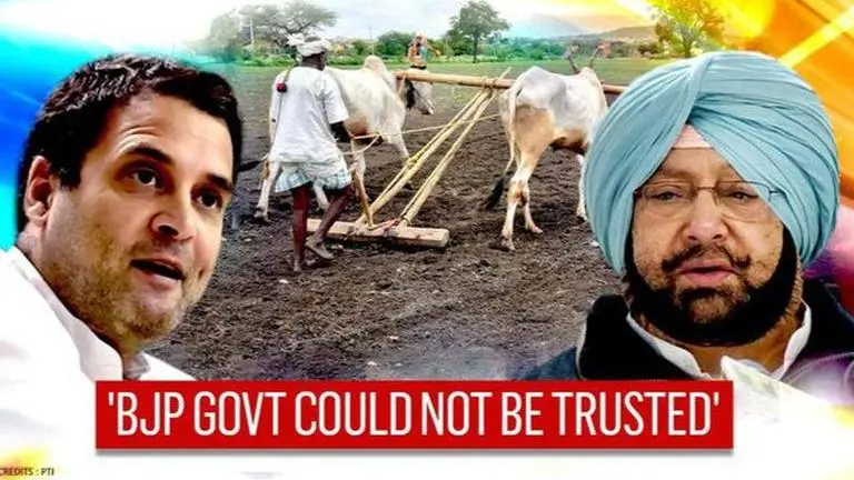 Punjab CM vows to fight 'black farm laws'; says 'BJP-led govt could not be trusted' Punjab