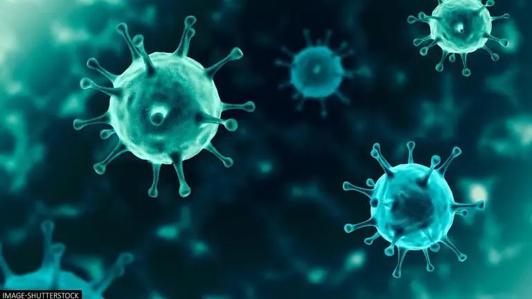 Omicron variant: A look at countries that detected new COVID-19 strain and their responses Omicron Variant