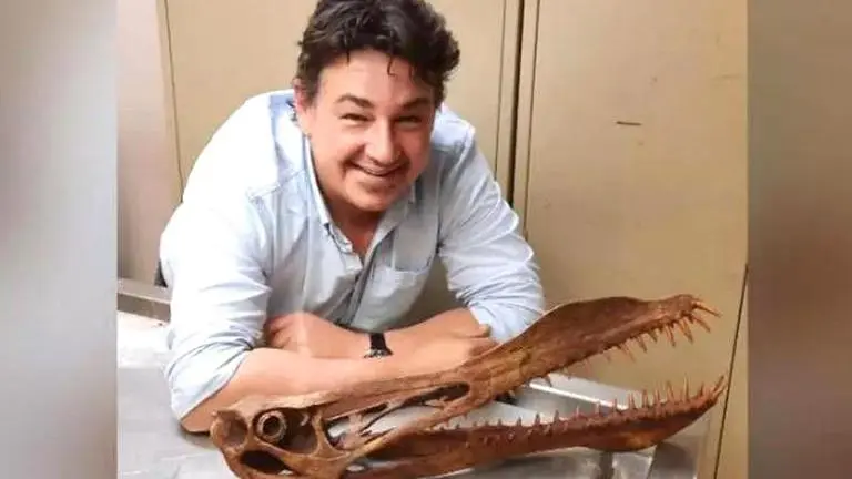 Australian scientists discover 105 million-year-old fossil of 'dragon-like' flying reptile Australia