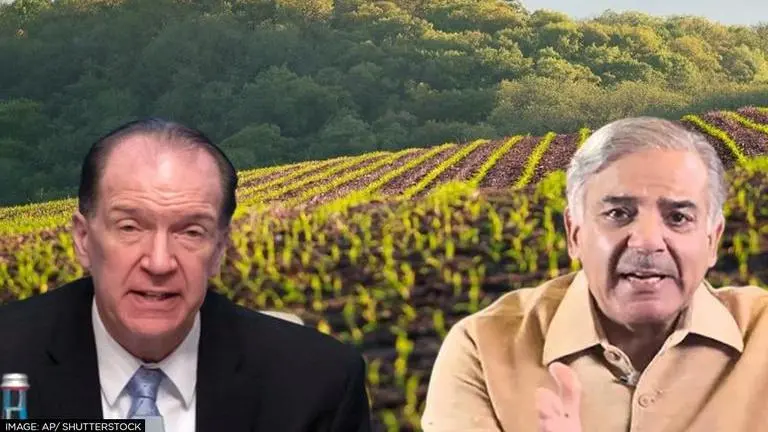 World Bank authorises $200m to promote agricultural growth in Pakistan's Punjab World Bank