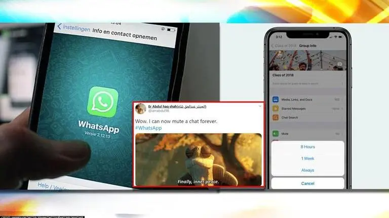 WhatsApp's ‘Always Mute’ option triggers meme fest, netizens 'muting relatives forever' WhatsApp