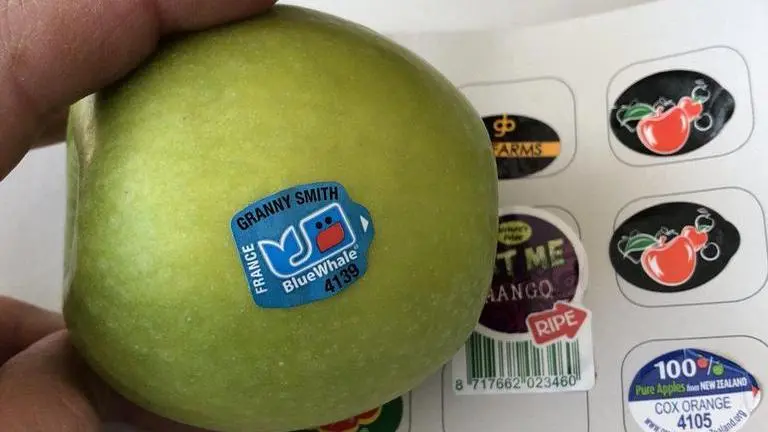 Don't paste stickers on fruits, C'garh FDA tells sellers Don't paste stickers on fruits, C'garh FDA tells sellers