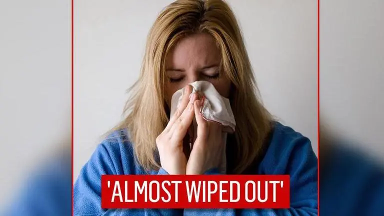 Experts say flu is 'almost wiped out' as it is at lowest level in 130 years Flu