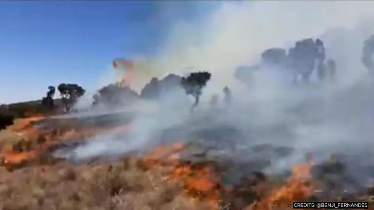 Mount Kilimanjaro on fire, efforts to douse flame ongoing