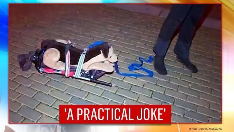 Czech Republic : Man caught walking 'stuffed' dog to avoid night curfew