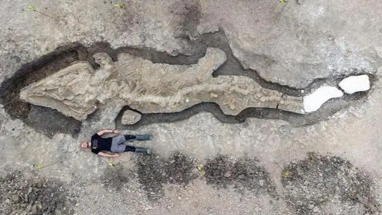 UK: Massive 'sea dragon' found in Midlands dubbed as one of greatest finds, says report UK