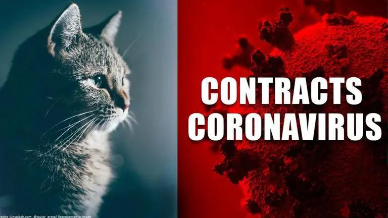 Coronavirus