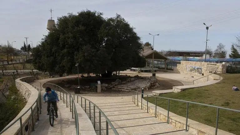 Jews split over storied charity's support for settlements